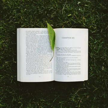 Çimenlerin üzerinde açık duran bir kitap ve yaprak